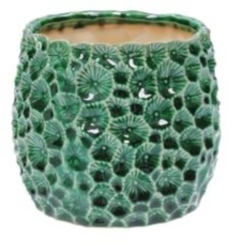 <p>Large Green patterned Ceramic Pot Cover By the designer Gisela Graham who designs really beautiful gifts for your garden and home. Suitable for an artifical or real plant and comes available in small and large sizes. Great to show off your plants and would look great on its own or as part of the set. Would make an ideal gift for a gardener or someone who likes plants. This is the Large version. Size (LxWxD) 15x14x15cm</p>